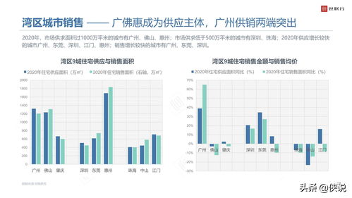 2020年大灣區(qū)商品住宅市場(chǎng)年度報(bào)告